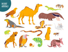 Vector Collection Of Flat Hand Drawn Desert Animal, Reptiles, Insects: Camel, Snake, Lizard Isolated On White Background. For Children Book Illustration, Alphabet, Zoo Emblems, Banners, Infographics.