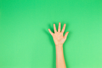 Wall Mural - Kid hand palm or showing five fingers on green background