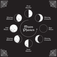 Wall Mural - antique style hand drawn line art and dot work moon phases circle. boho poster, tattoo, altar veil o