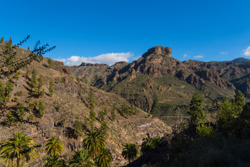 Wall Mural - Canary islands gran canaria sunny day outdoor