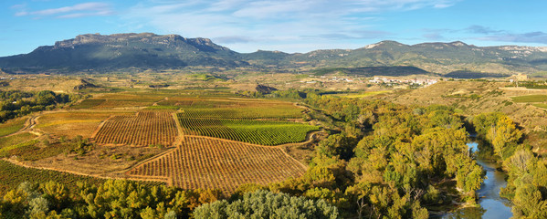 Landscape with vineyards at La Rioja, Spain