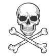 Skull with crossed bones. Pirate symbol Jolly Roger sketch engraving vector illustration. Scratch board style imitation. Hand drawn image.