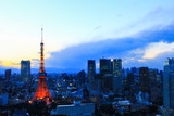 Fototapeta Boho - 東京都庁から見る夜景