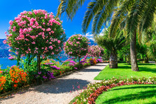 Lake Lago Maggiore - Beautiful "Isola Madre" With Ornamental Floral Gardens. North Of Italy