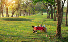 Red Cart On Fresh Green Lawn In City Park, Beautiful Morning Sunlight
