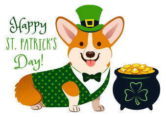 Cute Welsh corgi dog in St. Patrick's Day costume: green top hat, vest and bow tie, pot of gold filled with coins, with shamrock sign. 