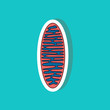 mitochondrion paper sticker on stylish background