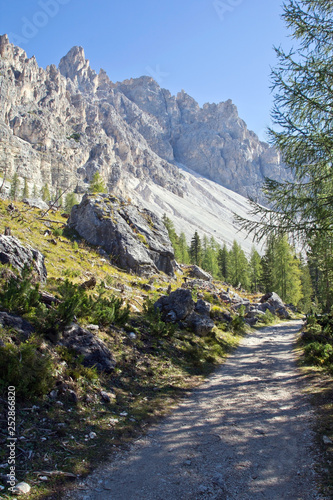 Wanderweg Nahe Col De Varda In Den Dolomiten Sudtirol Italien Buy This Stock Photo And Explore Similar Images At Adobe Stock Adobe Stock