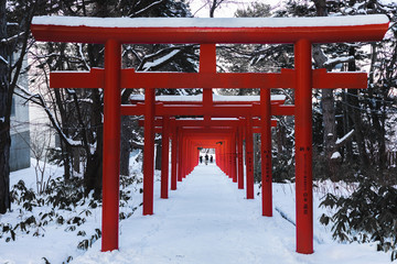 Tourists admiring the structure of Fushimi Inari Taisha Shrine in Sapporo Japan. This shot was taken in winter. Red Torii gates covered with snow.