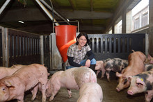 Portrait Of A Farm Woman On A Pig Farm