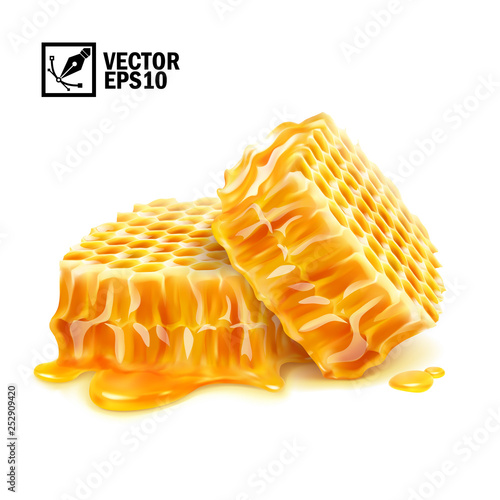 Fotomural 3d realistic vector isolated two honeycomb slices in honey puddle