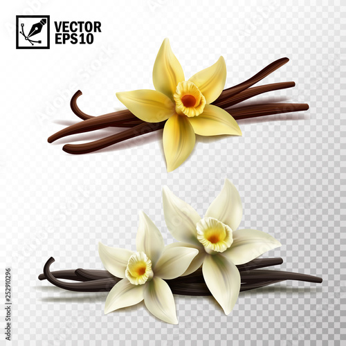 Fotomural 3d realistic vector isolated vanilla sticks and vanilla flowers in yellow and wh
