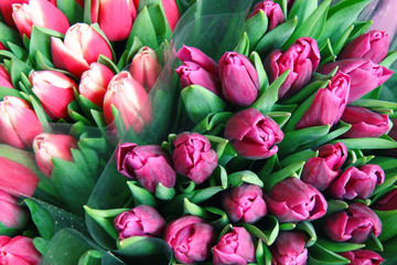  bouquet of colorful tulips