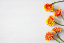 Background Festive For Congratulations With Flowers Gerberas