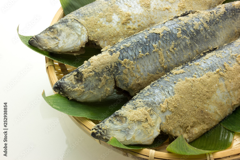 糠ニシン 糠鰊 鰊 ニシン Stock Photo | Adobe Stock