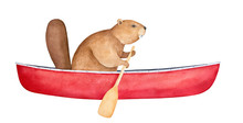 Brown Beaver Character In Blank Red Canoe, Rowing With Wood Paddle. Side View. Symbol Of Ingenuity, Diligence, Perseverance. Handdrawn Watercolour Painting, Cutout Clipart Element For Creative Design.