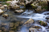 Fototapeta  - Mountain river and fresh clean streams of water running through the forest over rocks and pebbles in the forest