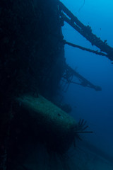 Wall Mural - The underwater ship wreck of the Hilma Hooker lying on its starboard side, sunken on the reef of the tropical island Bonaire