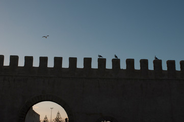 Essaouira