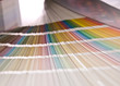 © Diego - Colores