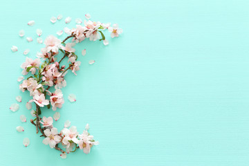 photo of spring white cherry blossom tree on pastel mint wooden background. View from above, flat lay