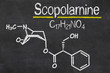 Blackboard with the chemical formula of Scopolamine