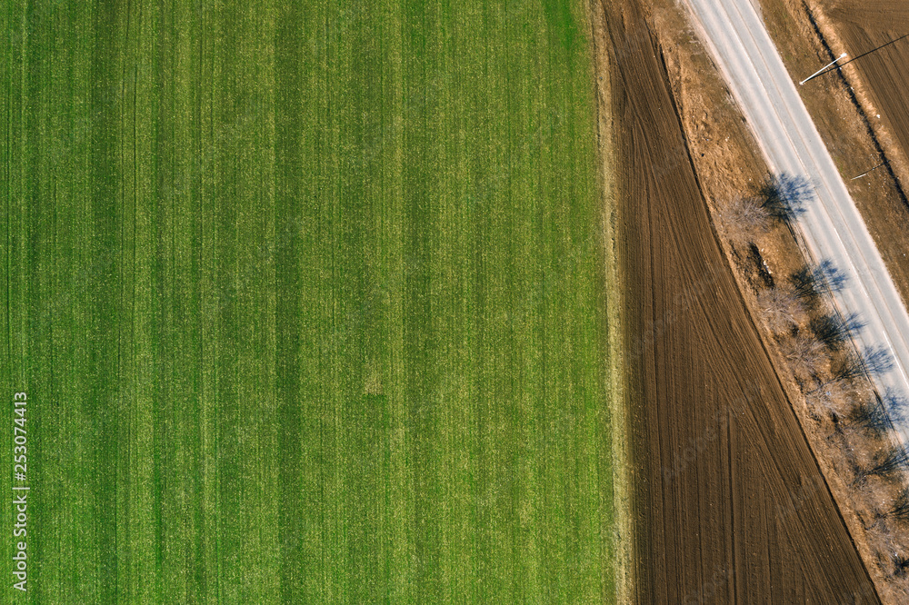 Aerial view of cereal crop field from drone pov - obrazy, fototapety, plakaty 