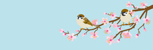 Two Small Birds Perch On Cherry Blossom Branch -House Sparrow, Header Ratio