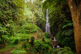 Fototapeta Las - Waterfall in Malang East Java indonesia