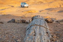 Fossil Wood In The Sudanese Scree Desert With An Off-road Vehicle In The Background, Africa