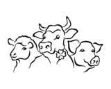 Fototapeta Pokój dzieciecy - Domestic animals, sheep, cow, pig, set of black and white icons