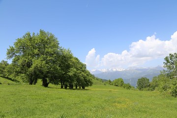 green village views. savsat/artvin/turkey