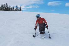 Handicapped Athlete Goes Downhill Skiing, Disabled Skier And  Disability Snow Sports,  Handicapped Person And Sit Ski, Images With Copy Space