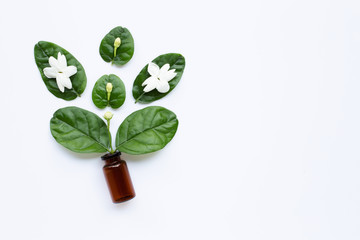 Bottle of essential oil with jasmine flower and leaves on white.