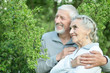 © aletia2011 - Portrait of beautiful smiling senior couple in the park