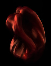 Stylized Portrait Of A Red Pepper