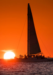 Wall Mural - this beautiful sunset off the coast of key west florida was taken during a wind and wine sunset crui