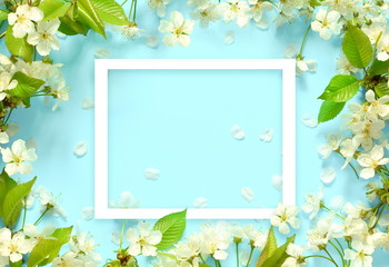 Wall Mural - beautiful spring nature background with lovely blossom, petal a on turquoise blue background , top v