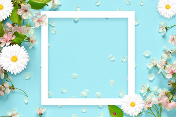 beautiful spring nature background with lovely blossom, petal a on turquoise blue background , top v