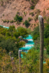 Wall Mural - Wild cactus between the mountains and river