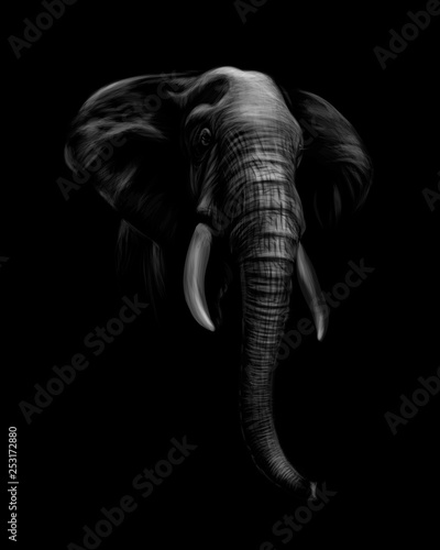 Dekoracja na wymiar  portret-glowy-slonia-na-czarnym-tle