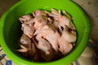 many chickens in the bucket