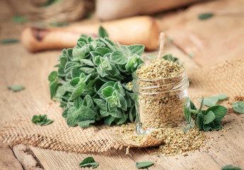 Wall Mural - Dried and fresh oregano, vintage wood background, rustic style, selective focus