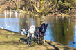 © Mikhail - Bicycles in the park by the pond in which birds float. People on the other side launch model sailboats
