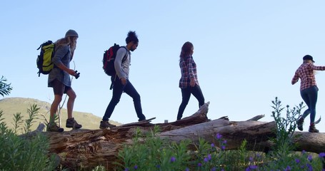 group of friends hiking through forest 4k