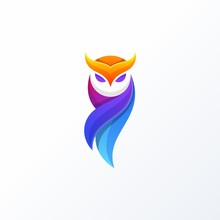 Owl Full Color Design Concept Illustration Vector Template