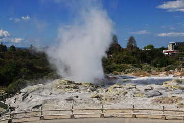 Rotorua, thermal park, New Zealand