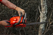 Man cutting trees using an electrical chainsaw in the forest.