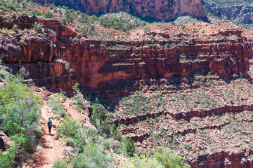 Hiker woman hiking in Grand Canyon. Healthy active lifestyle image of hiking young multiracial female hiker in Grand Canyon, Adventure and travel concept. Women hiking in USA national park.