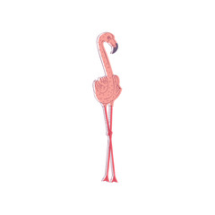 Wall Mural - hand drawn vector illustration pink flamingo. large wild bird with long neck and legs. wildlife and 